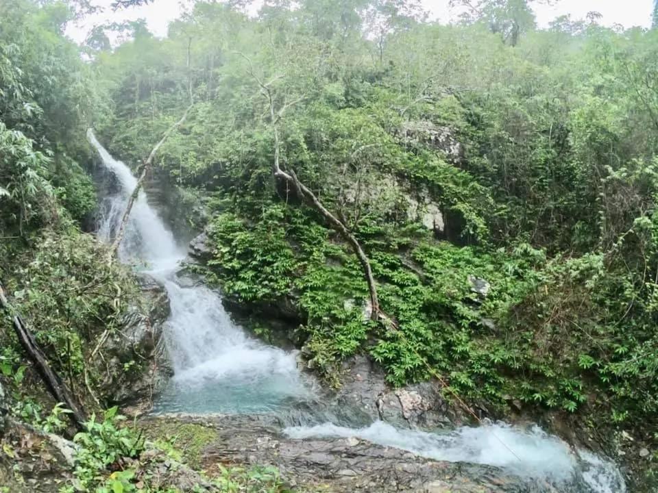 Hotel Mount Avangan Eco Adventure Park Coron Esterno foto