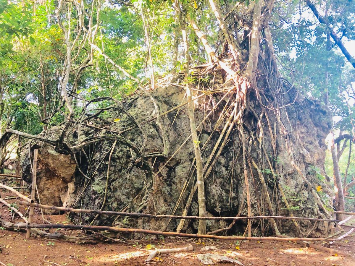 Hotel Mount Avangan Eco Adventure Park Coron Esterno foto